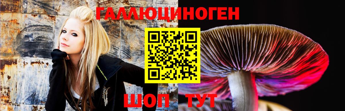 Галлюциногенные грибы прущие грибы Учалы
